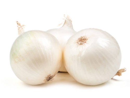 100X - ONIONGLADALAN WHITE EXCELLENT Home Vegetable Seeds - Garden Vegetable Plant Seeds