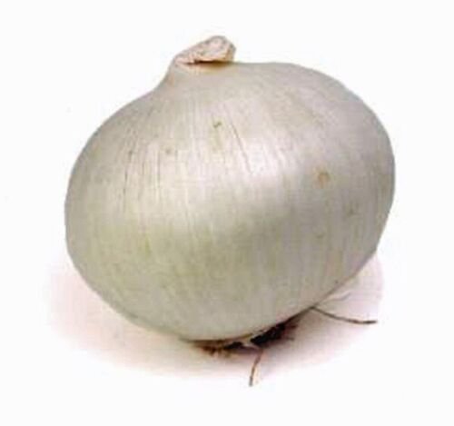 100X - ONION 'White Spanish' Home Vegetable Seeds - Garden Vegetable Plant Seeds