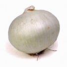 100X - ONION 'White Spanish' Home Vegetable Seeds - Garden Vegetable Plant Seeds