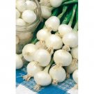 50X - Onion Barletta White Pickling Home Vegetable Seeds - Garden Vegetable Plant Seeds