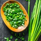 120X - Bunching Onio Fuyuyo Home Vegetable Seeds - Garden Vegetable Plant Seeds
