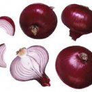 50X - ONION CALIFORNIAN RED Home Vegetable Seeds - Garden Vegetable Plant Seeds