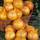 100X - ONION Early Pukekohe Long Keeper Home Vegetable Seeds - Garden Vegetable Plant Seeds