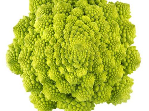 200X - Broccoli Seeds "Romanesco" Vegetable Seeds - Garden Vegetable Plant Seeds