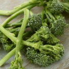 95X - Broccoli Green Sprouting Calabrese Vegetable Seeds - Garden Vegetable Plant Seeds