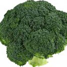 100X - Broccoli seeds "Italian Green" Vegetable Seeds - Garden Vegetable Plant Seeds
