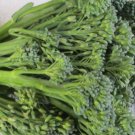 50X - BROCCOLI BROCCOLETTI Vegetable Seeds - Garden Vegetable Plant Seeds