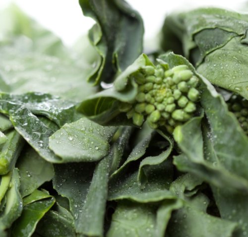 100X - Chinese Broccoli Stir Fry Asian vegetable Seeds - Garden Vegetable Seeds