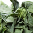 100X - Chinese Broccoli Stir Fry Asian vegetable Seeds - Garden Vegetable Seeds