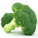 10X - BROCCOLI 'Green Sprouting' Calabrese BROCCOLI vegetable Seeds - Garden Vegetable Seeds