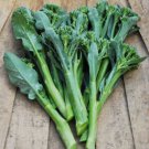 30X - CHINESE BROCCOLI KAILAAN heirloom vegetable Seeds - Garden Vegetable Seeds