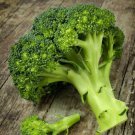 50X - BROCCOLI Di Cicco Earlyve getable Seeds - Garden Vegetable Seeds