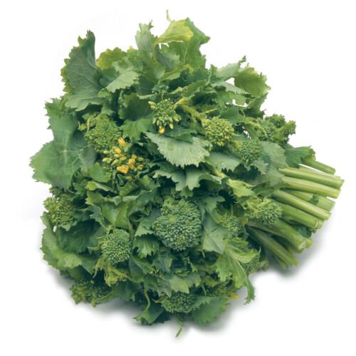 100X - BROCCOLI Raab Rapini Vegetable Seeds - Garden Vegetable Seeds