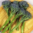15X - BABY BROCKY Broccoli F1 Hybrid Vegetable Seeds - Garden Vegetable Seeds