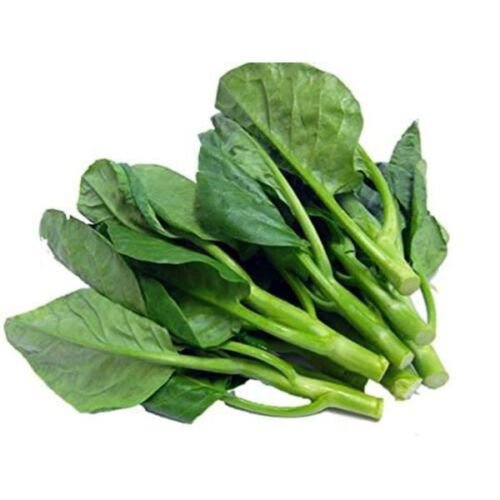 100X - Asian Chinese broccoli Vegetable Seeds - Garden Vegetable Seeds