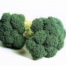 15X - BROCCOLI Marathon F1 Vegetable Seeds - Garden Vegetable Seeds