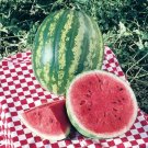 10X Seeds - WATERMELON 'Crimson Sweet' Fruit Seeds - Garden Fruit Watermelon Seeds