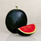 10X Seeds - WATERMELON Sugar Baby SPRING SUMMER Fruit Seeds - Garden Fruit Watermelon Seeds