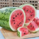 10X Seeds - WATERMELON Bush Jubilee Fruit Seeds - Garden Fruit Watermelon Seeds