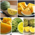 7X Seeds - WATERMELON Mini Yellow Fruit Seeds - Garden Fruit Watermelon Seeds