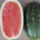 12X Seeds - WATERMELON Wildcat Fruit Seeds - Garden Fruit Watermelon Seeds