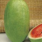 5X Seeds - WATERMELON Candy Red Fruit Seeds - Garden Fruit Watermelon Seeds