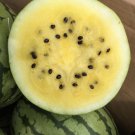 5X Seeds - Mountain Sweet Yellow Watermelon Fruit Seeds - Garden Fruit Watermelon Seeds