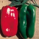 10X Seeds - CAPSICUM SEEDS GIANT BELL Vegetable Seeds - Garden Vegetable Seeds