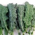 150X Seeds - KALE Premier leafy salad Vegetable Seeds - Garden Vegetable Seeds
