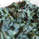 100X Seeds - Kale Baby Tuscan Vegetable Seeds - Garden Vegetable Seeds