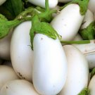 20X Seeds - EGGPLANT Casper Vegetable Seeds - Garden Vegetable Seeds