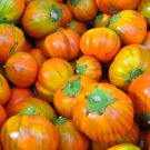 25X Seeds - EGGPLANT Turkish Orange Vegetable Seeds - Garden Vegetable Seeds