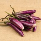 45X Seeds - Eggplant Little fingers Vegetable Seeds - Garden Vegetable Seeds