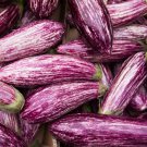 50X Seeds - Eggplant Tsakoniki Vegetable Seeds - Garden Vegetable Seeds