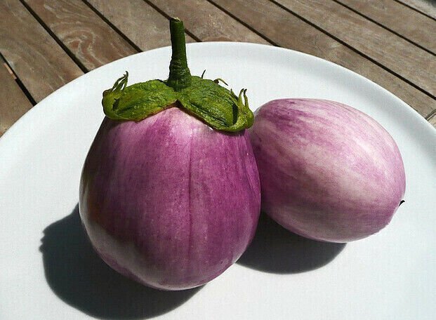 45X Seeds - Eggplant Rosa Bianca Vegetable Seeds - Garden Vegetable Seeds