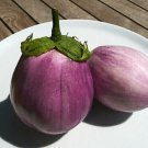 45X Seeds - Eggplant Rosa Bianca Vegetable Seeds - Garden Vegetable Seeds
