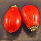 70X Seeds - EGGPLANT Red Square Vegetable Seeds - Garden Vegetable Seeds