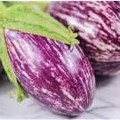 20X Seeds - Eggplant Listada da Gandia Vegetable Seeds - Garden Vegetable Seeds