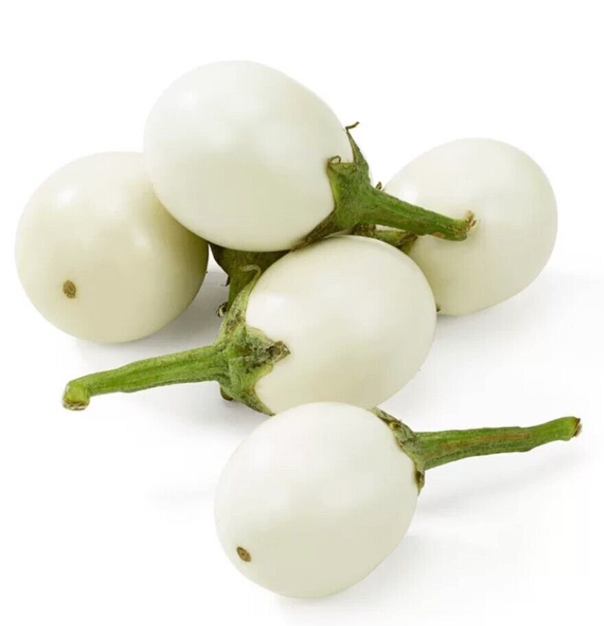 20X Seeds - Eggplant White Egg Japanese Vegetable Seeds - Garden Vegetable Seeds