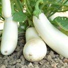 15X Seeds - Eggplant SNOWY Vegetable Seeds - Garden Vegetable Seeds