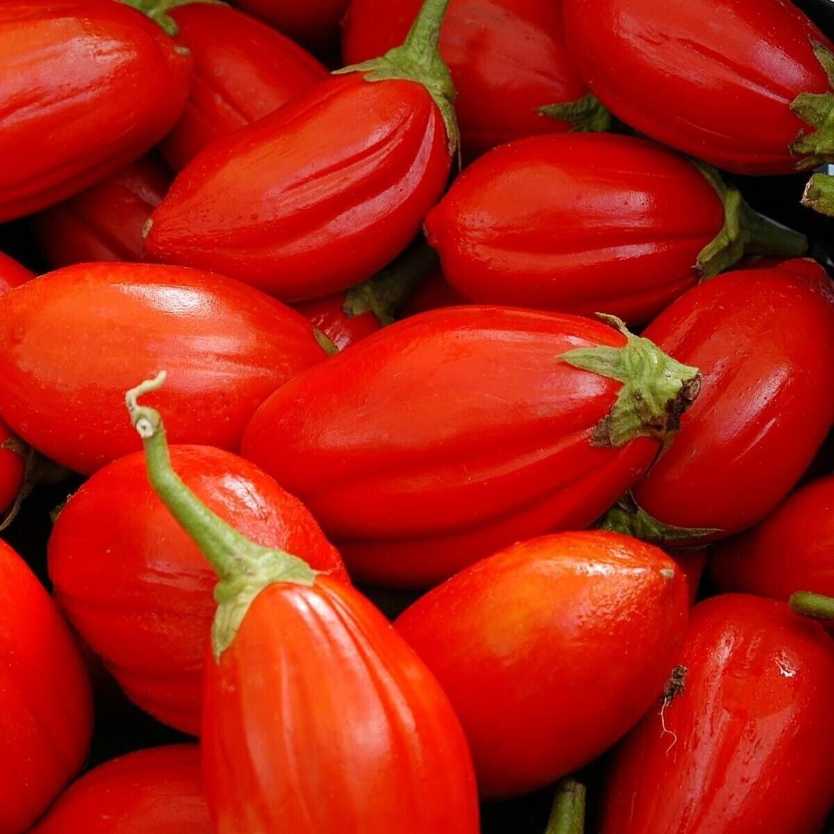 70X Seeds - EGGPLANT Long Red Vegetable Seeds - Garden Vegetable Seeds