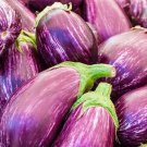 50X Seeds - eggplant tsakoniki Vegetable Seeds - Garden Vegetable Seeds