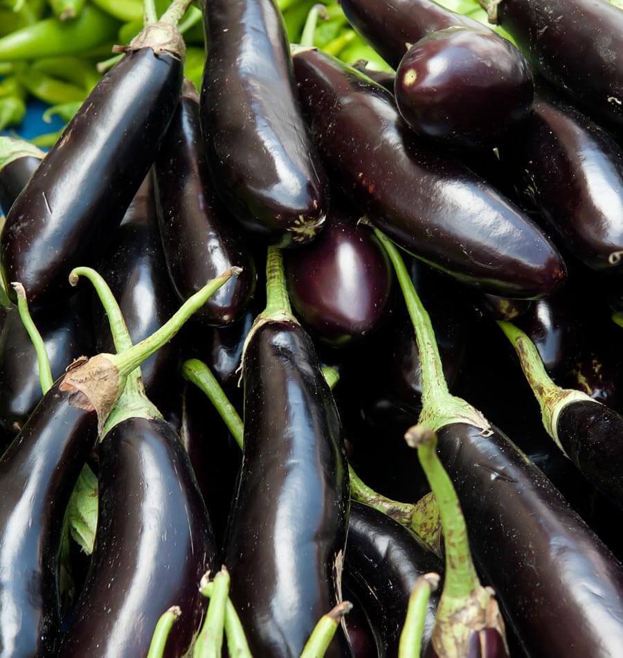 15X Seeds - EGGPLANT Early Long Purple heirloom Vegetable Seeds - Garden Vegetable Seeds