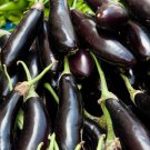 15X Seeds - EGGPLANT Early Long Purple heirloom Vegetable Seeds - Garden Vegetable Seeds