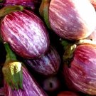 30X Seeds - Stripped Eggplant Seeds Italian Vegetable Seeds - Garden Vegetable Seeds