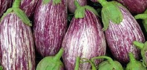 20X Seeds - EGGPLANT LISTADA Vegetable Seeds - Garden Vegetable Seeds