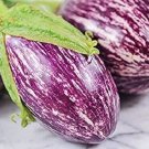 10X Seeds - DE GANDIA EGGPLANT Vegetable Seeds - Garden Vegetable Seeds