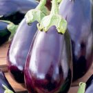 70X Seeds - Eggplant Seeds Purple Asian Vegetable Seeds - Garden Vegetable Seeds