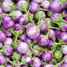15X Seeds - EGGPLANT ‘Rosa Bianca’ Vegetable Seeds - Garden Vegetable Seeds