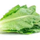 300X Seeds - Lettuce Seeds “Cos Paris Island” Vegetable Seeds - Garden Vegetable Seeds